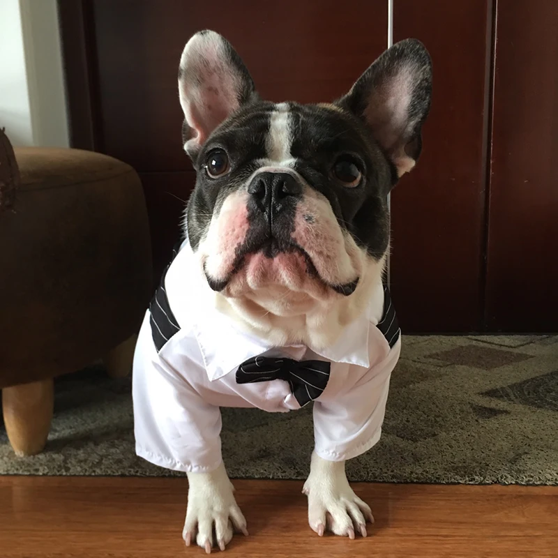 French Bulldog Pet Party Suit Tuxedo Weeding Formal Dog Clothes for Small Dogs Clothing Puppy Pug Corgi Shirts mascotas Costume