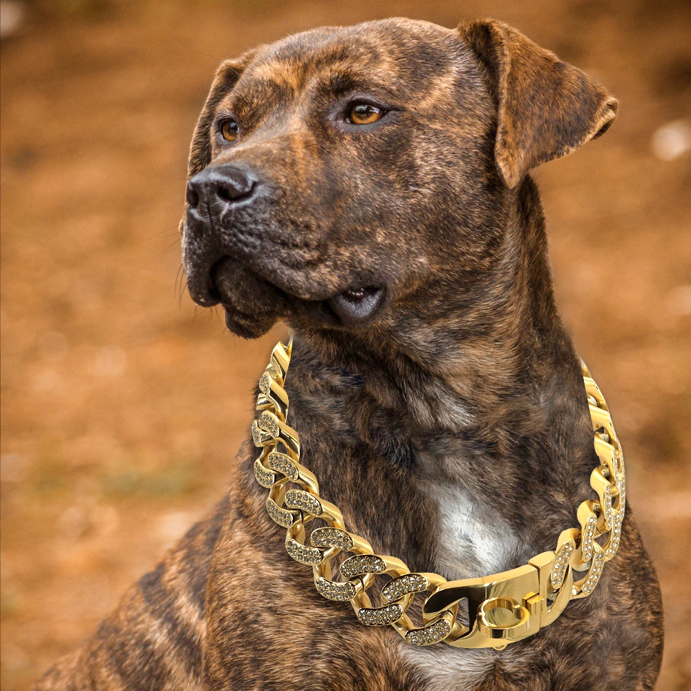 Luxury Rhinestone Dog Collar Chain Bling Diamond Customized 32mm Stainless Steel Pet Dog Collar Leash Bulldog Pitbull French