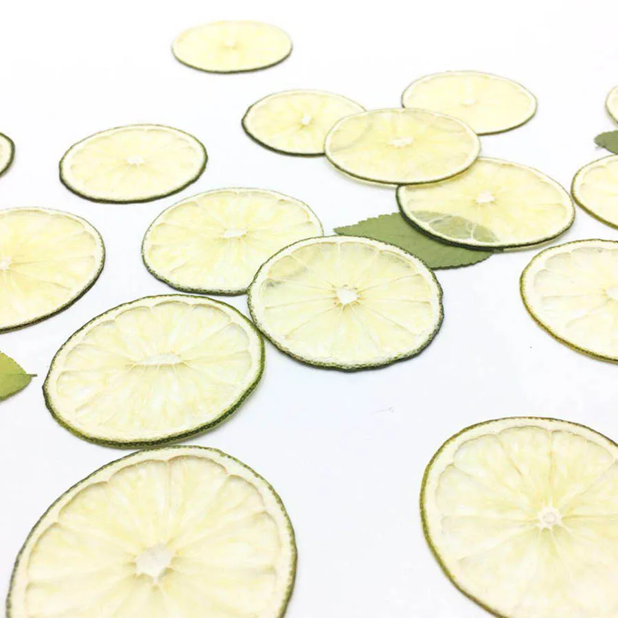 5pcs Dried Pressed 4-5cm Green Lemon Slices Plant Herbarium For Jewelry Photo Frame Phone Case Bookmark Postcard Making DIY