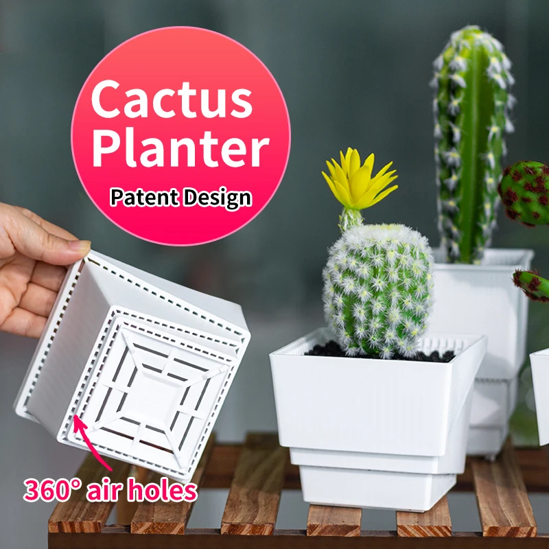 Meshpot Cactus Succulent Litops Pot z drenażem dobre otwory przepuszczające powietrze i sadzarka do kontroli korzeni w kolorze białym