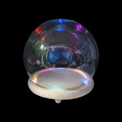 DIY Empty glass snow globe with LED light Promotional hand model dust cover gift light snow dome flower cover with wooden base