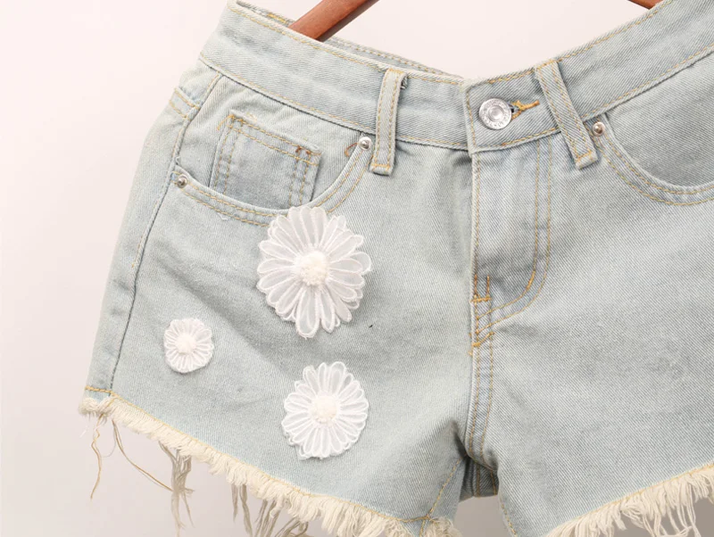 Embroidered Organza Patch for Clothing, Daisy Flower Embroidery, DIY Accessories, 6 PCS/Lot