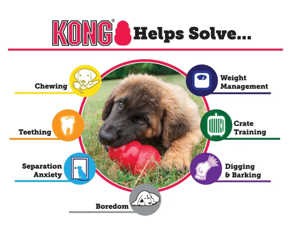 S-XXL KONG Extreme Hundespielzeug mit Ihrer Wahl für Hundeleckerli – Detail 9