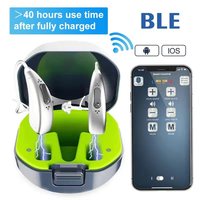 2025 Hearing Aid Bluetooth Wireless Rechargeable Digital 30 Channel Hearing Aid Sound Amplifier High Quality Deaf Hearing Aids