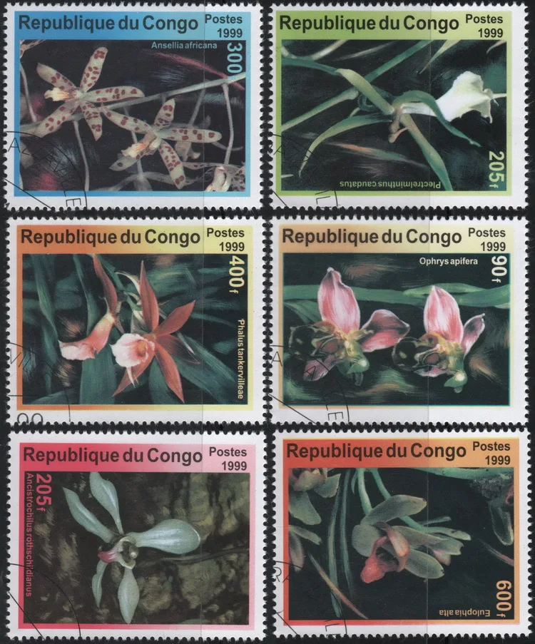 6Pcs/Set Congo Post Stamps 1999 Plants Flowers  Marked Postage Stamps for Collecting