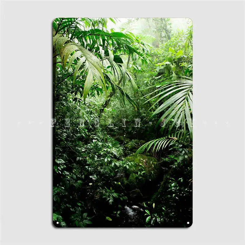 Misty Rainforest Creek Metal Sign Living Room Custom Cinema Garage Plaques Tin Sign Posters