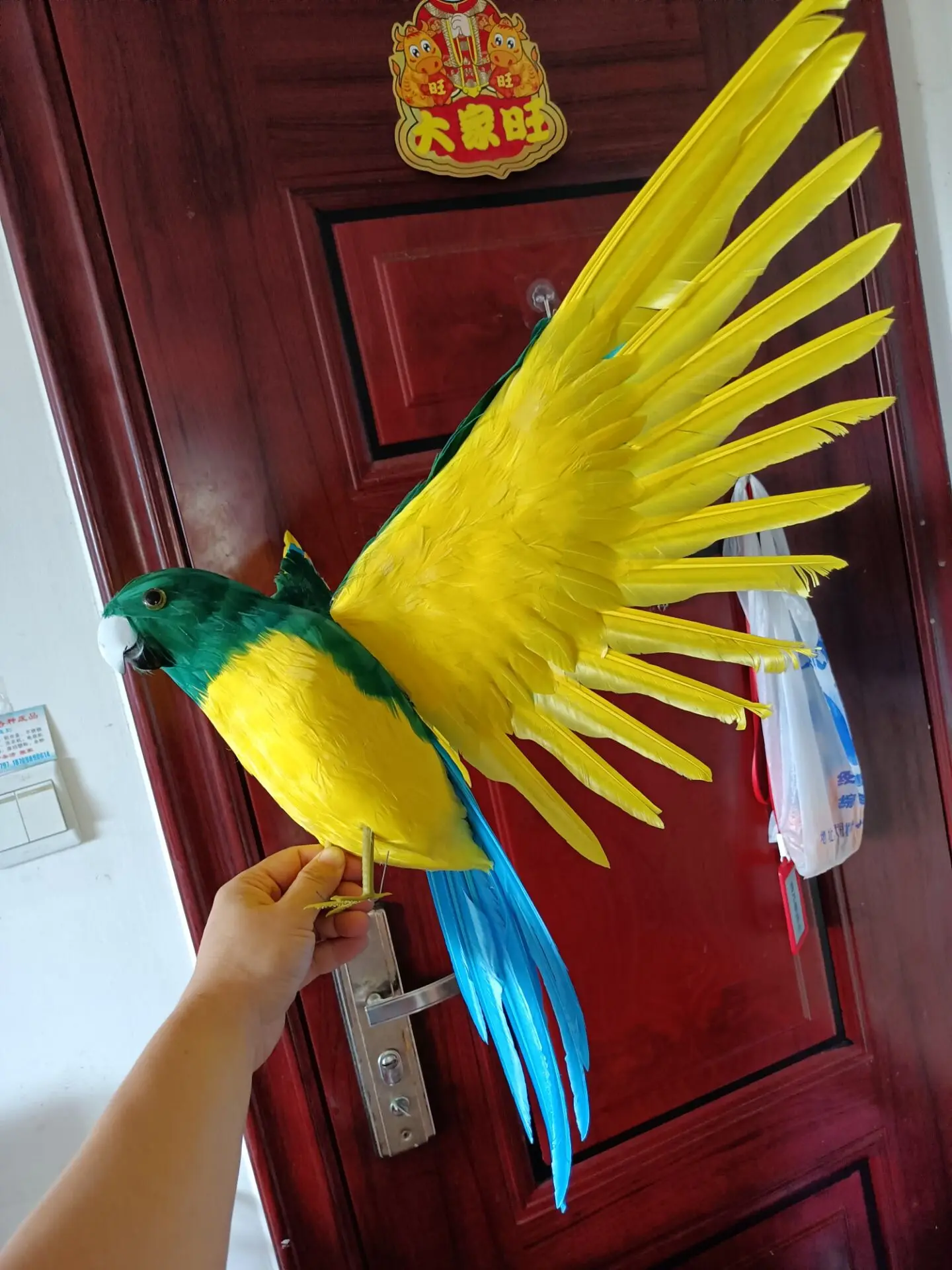 real life yellow&green parrot model foam&feather wings parrot bird gift about 42x60cm d0079