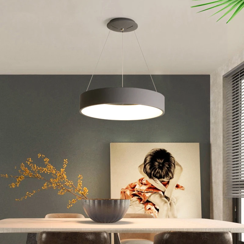 

modern led pendant lights for dining room kitchen living room shop led lamp Grey/White nordic Pendant Lamp ring light Fixtures