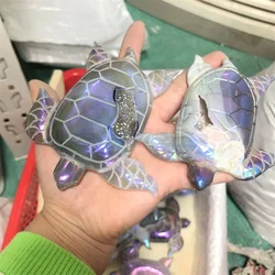 Natural Stones Aura Agate Geode Sea Turtle Quartz Crystal Healing Reiki Decoration