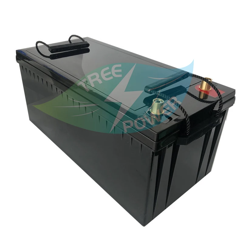 

48v 100AH lifepo4 lithium batterry for 3000W tricycle inverter Solar energy storage scooter + 10A charger