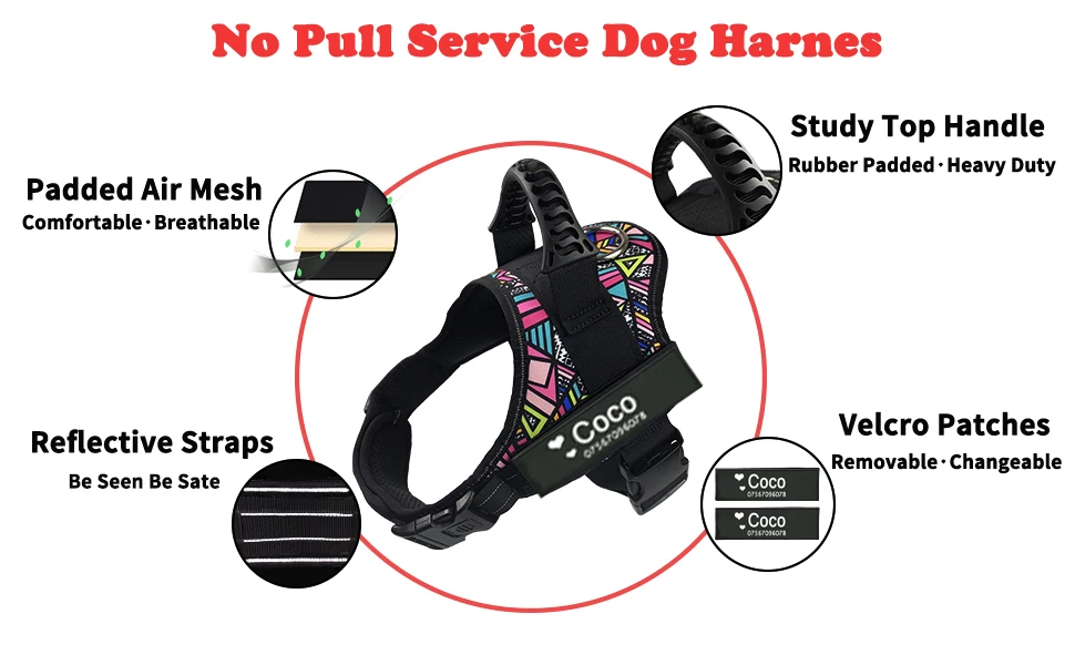 HUNDBELEUCHTET Bunte Hundegeschirrweste, anpassbare Anhänger, reflektierendes Hundehalsband, kein Ziehen, sicheres Training, Spazierengehen, Hundeklettern – Detail 2
