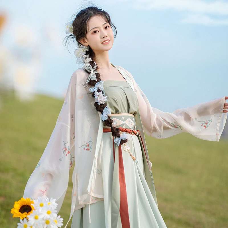 

Summer Chinese Traditional Costume Hanfu Women Fairy Dress Song Dynasty Princess Clothing Oriental Tang Hanfu Dresses DWY3906