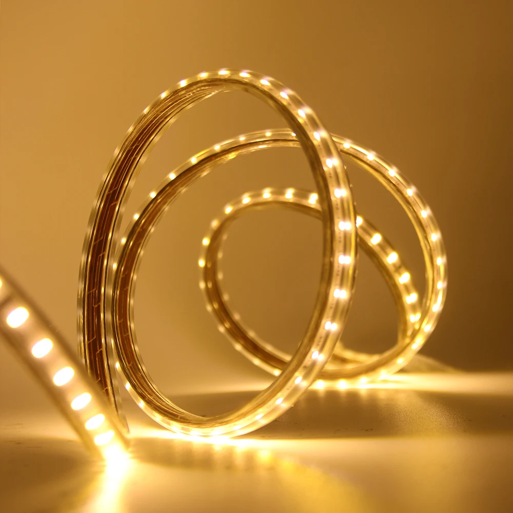 220V LED Light Strip Waterproof With EU Power Switch Plug 3014 SMD 120LEDs/m Outdoor Rope White/Warm White/Blue LED Strip Light