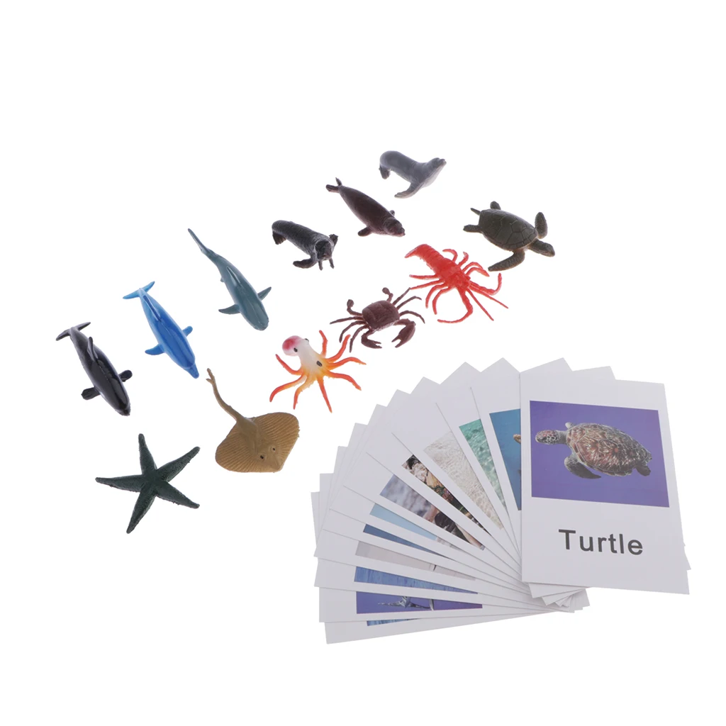 Montessori Ocean Animal Match Cards and Figurines, Matching Game Learning Toy, Language Materials