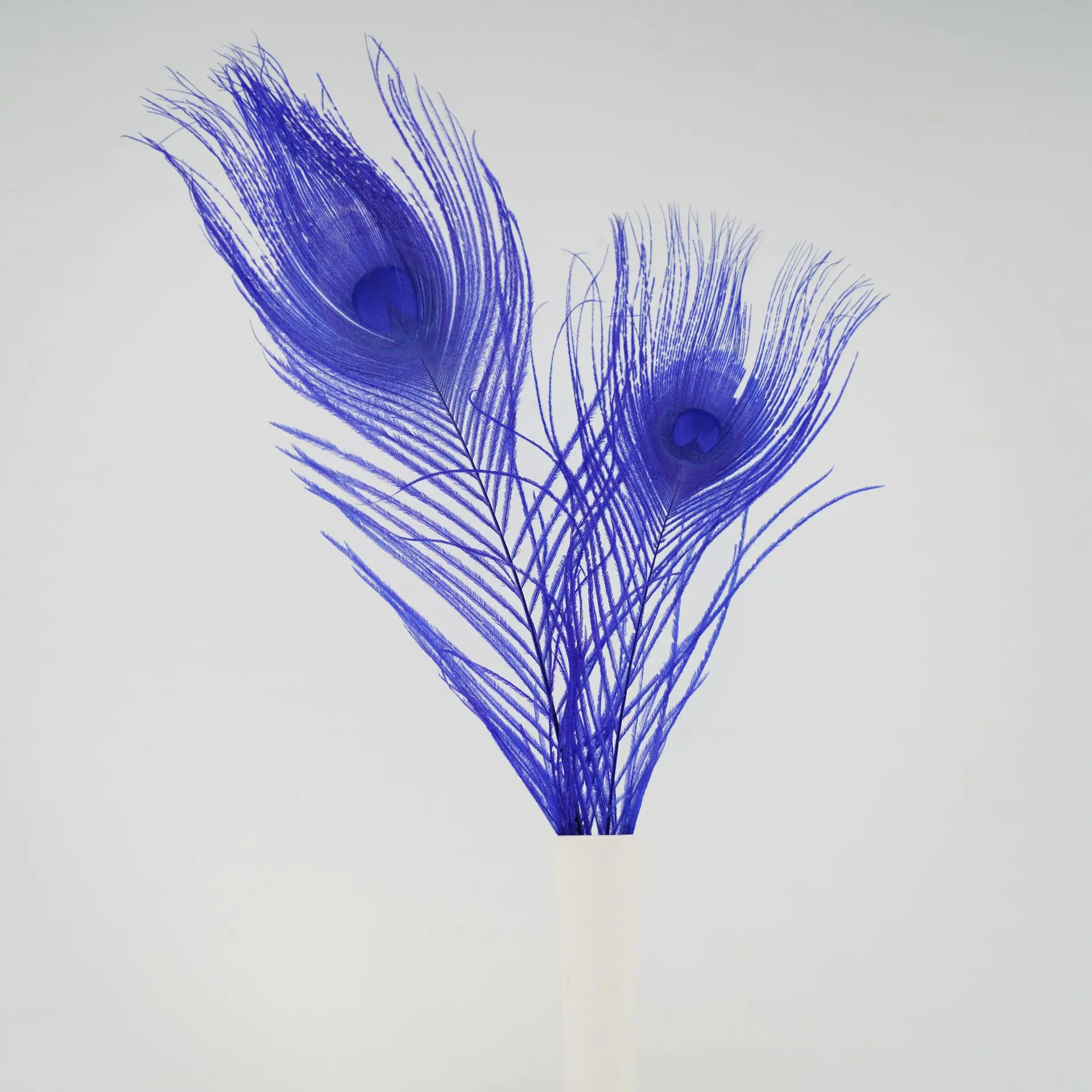 Peacock Feather Decorative Earrings, Headdress Accessories, Dyed Feather, Home Vase, Flower Arrangement, 25-30cm, 10Pcs