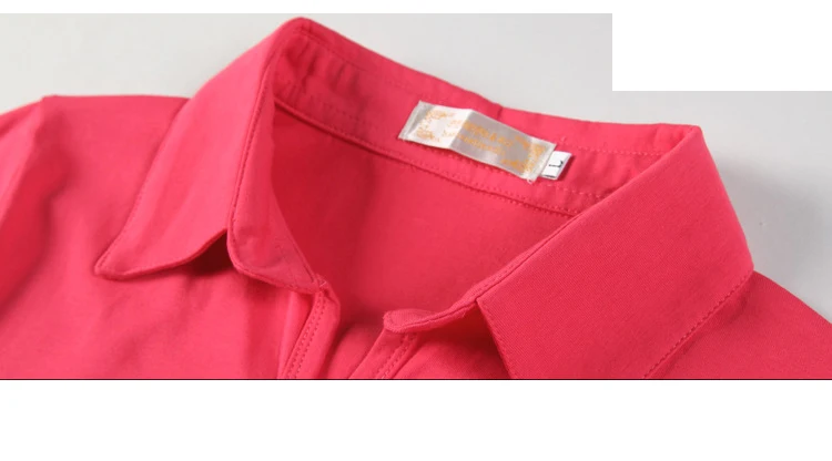 Solide T Shirt Weibliche 2024 drehen-unten Kragen Frauen Langarm Tops Frühling Voll Schlank Baumwolle T-shirt Frau Kleidung t-Shirt Femme – Detail 8