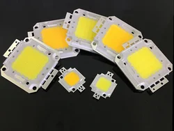 5-10PCS LED Hight Power Integrated Light Source 10W 20W 30W 50W 100W 30V 24*44mli Beads Light Lamp White Warm Blub For Foodlight