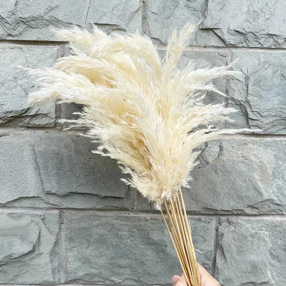 

Artificial Pampas Grass White Dried Reed Flowers Bouquet For Home Room Christmas Decor Wedding Flowers Bunch