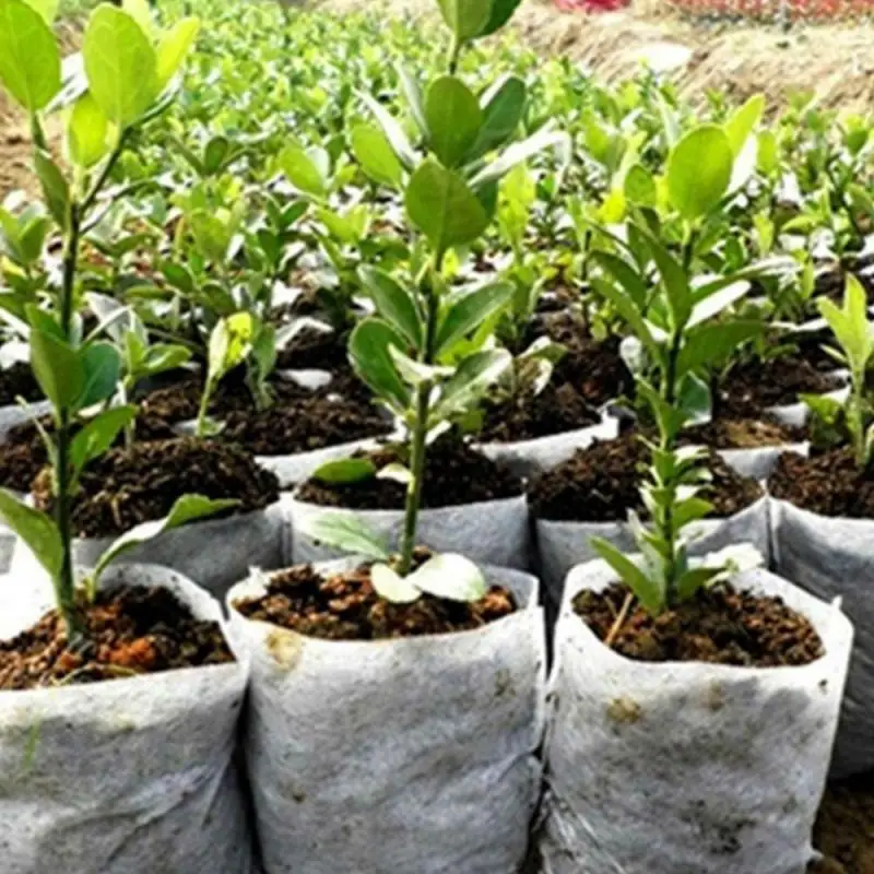 100/200PC biodegradabile tessuto Non tessuto vivaio pianta coltiva borse piantina coltiva fioriera vasi da fiori Eco Bag