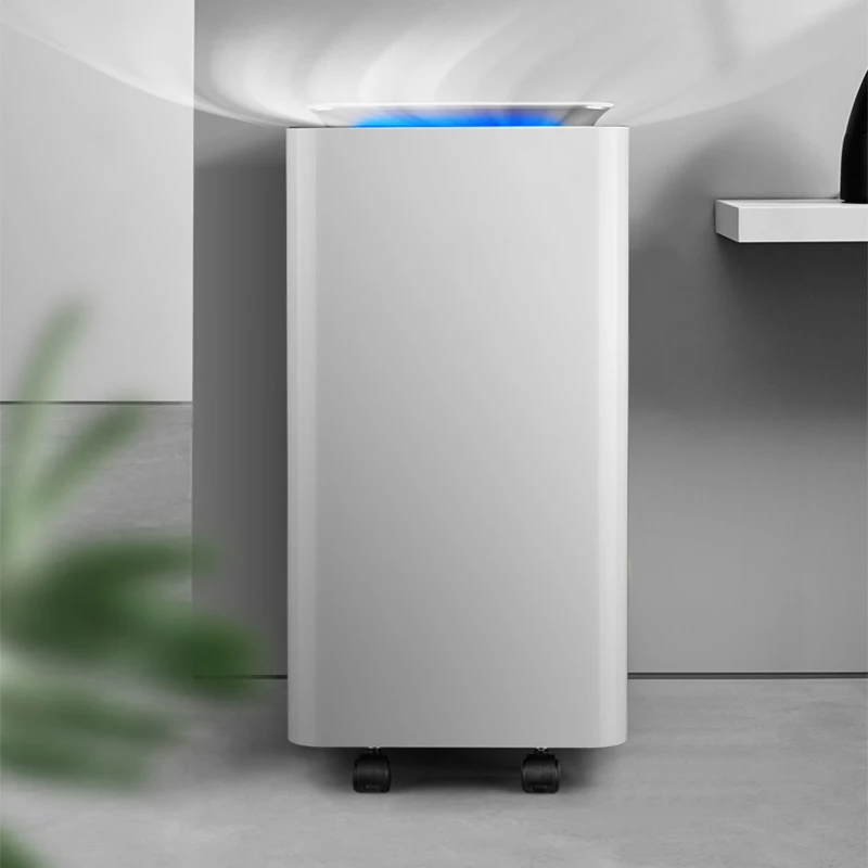 220W Deumidificatore Per Uso Domestico Silenzioso Assorbitore di Umidità Dell'aria Industriale Seminterrato Deumidificazione 220V Deumidificazione Asciugatrice