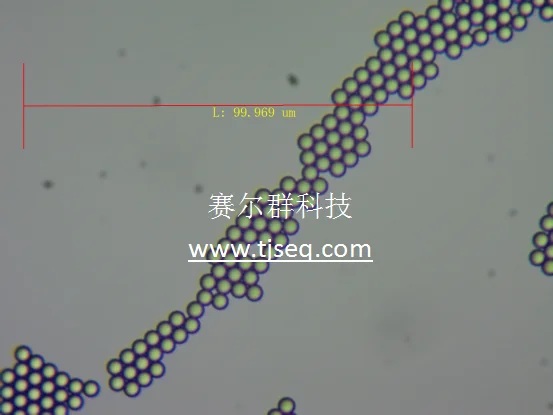 Monodisperse polystyrene microsphere /PS latex microsphere/micron scale PS microsphere /6-10um/ polymer microsphere