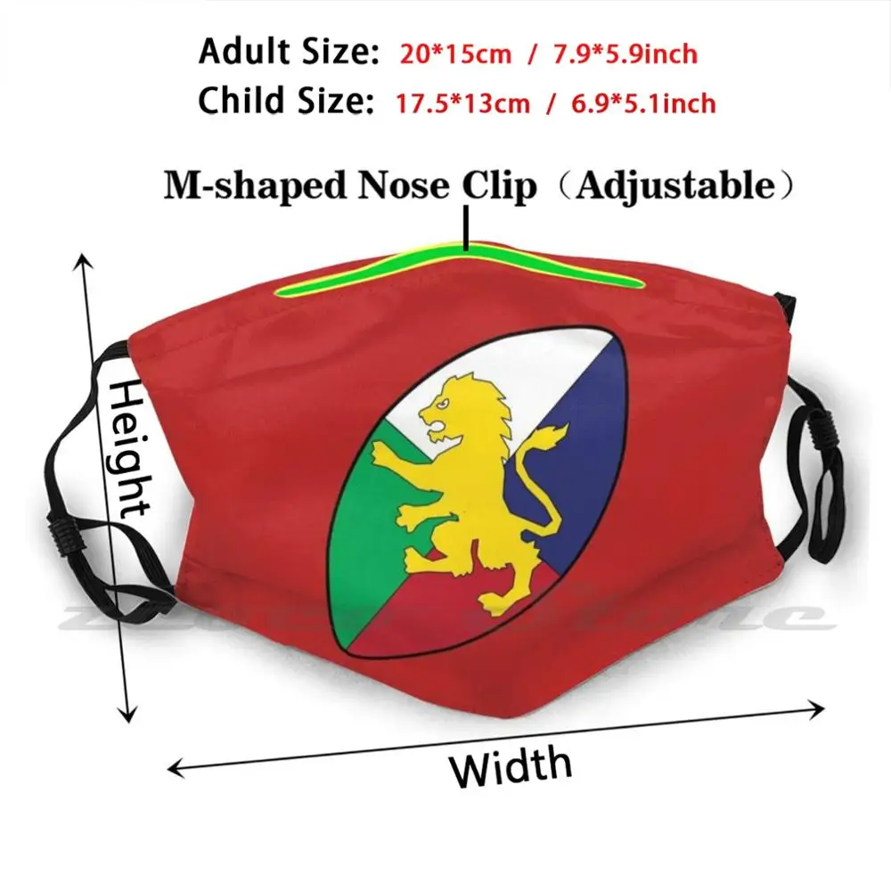 Lions Rugby Mask Cloth Washable DIY Filter Pm2.5 Adult Kids British And Irish Lions England Ireland Wales Scotland Rugby Rugby