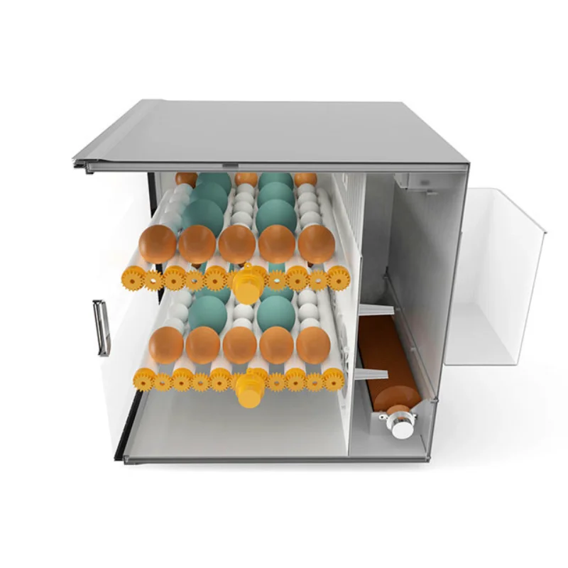 

ML-60 industry egg incubators for 60 pcs eggs in China