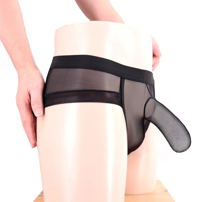 Recommend! men\'s new design Mesh Transparent Briefs erotic sexy gay sheath lingerie underwear