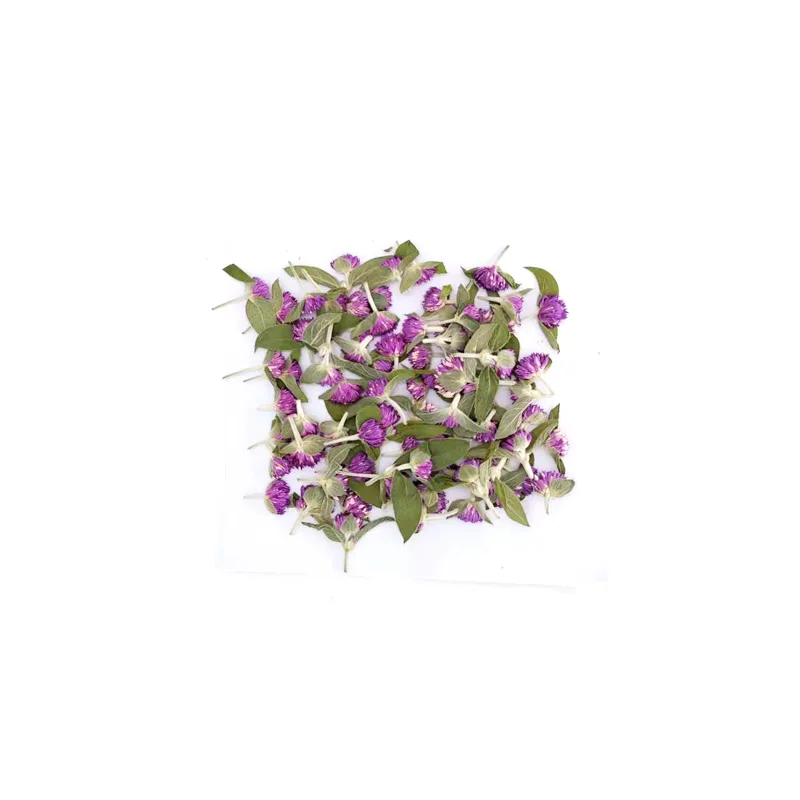 Preserved Flower purple Gomphrena globosa for Crafts Bookmark Card Making Handmade Soap Resin DIY Accessories 6pcs/bag