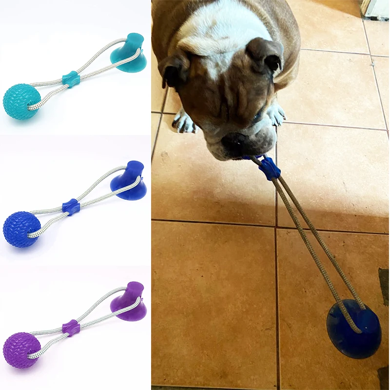 Hund Spielzeug Pet Welpen Interaktive Saugnapf Drücken TPR Ball Spielzeug Molaren Biss Spielzeug Elastische Seile Hund Zahn Reinigung Kauen liefert