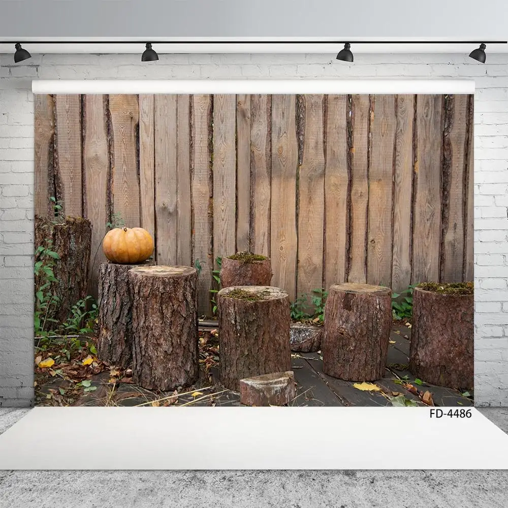 Fondos de fotografía de pared de madera para niños, fiesta de Halloween de vinilo para telón de fondo, sesión fotográfica, topos, calabaza, otoño