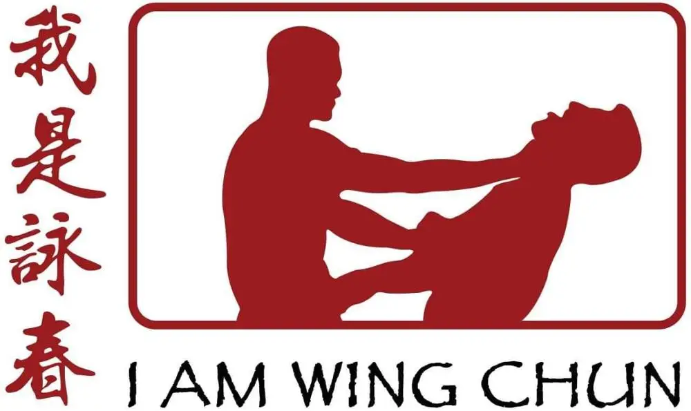 i am wing chun any sport logo or brand logo music flag  custom 3x5ft flag banner