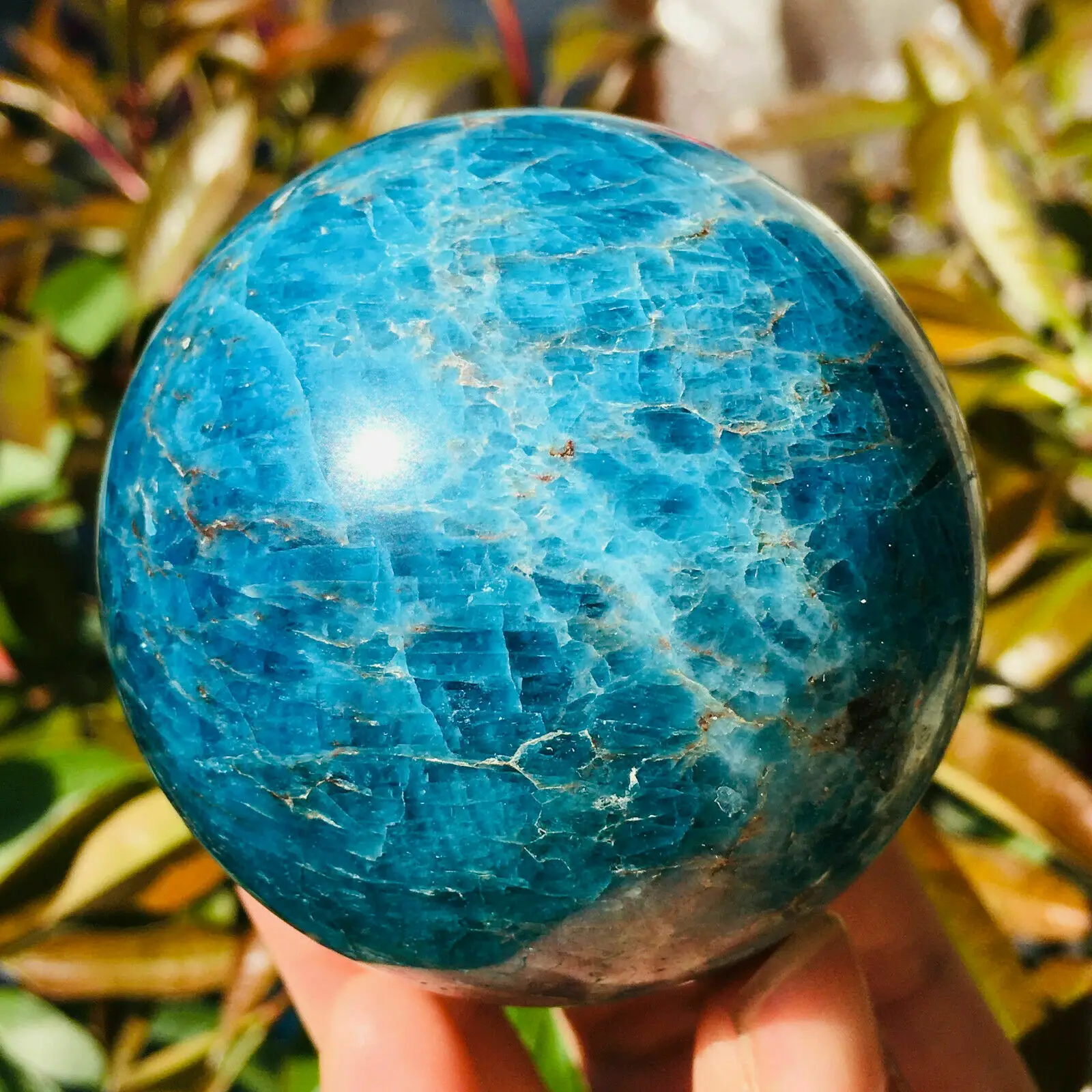 Natural Blue Apatite Ball Sphere Quartz Crystal Mineral Healing