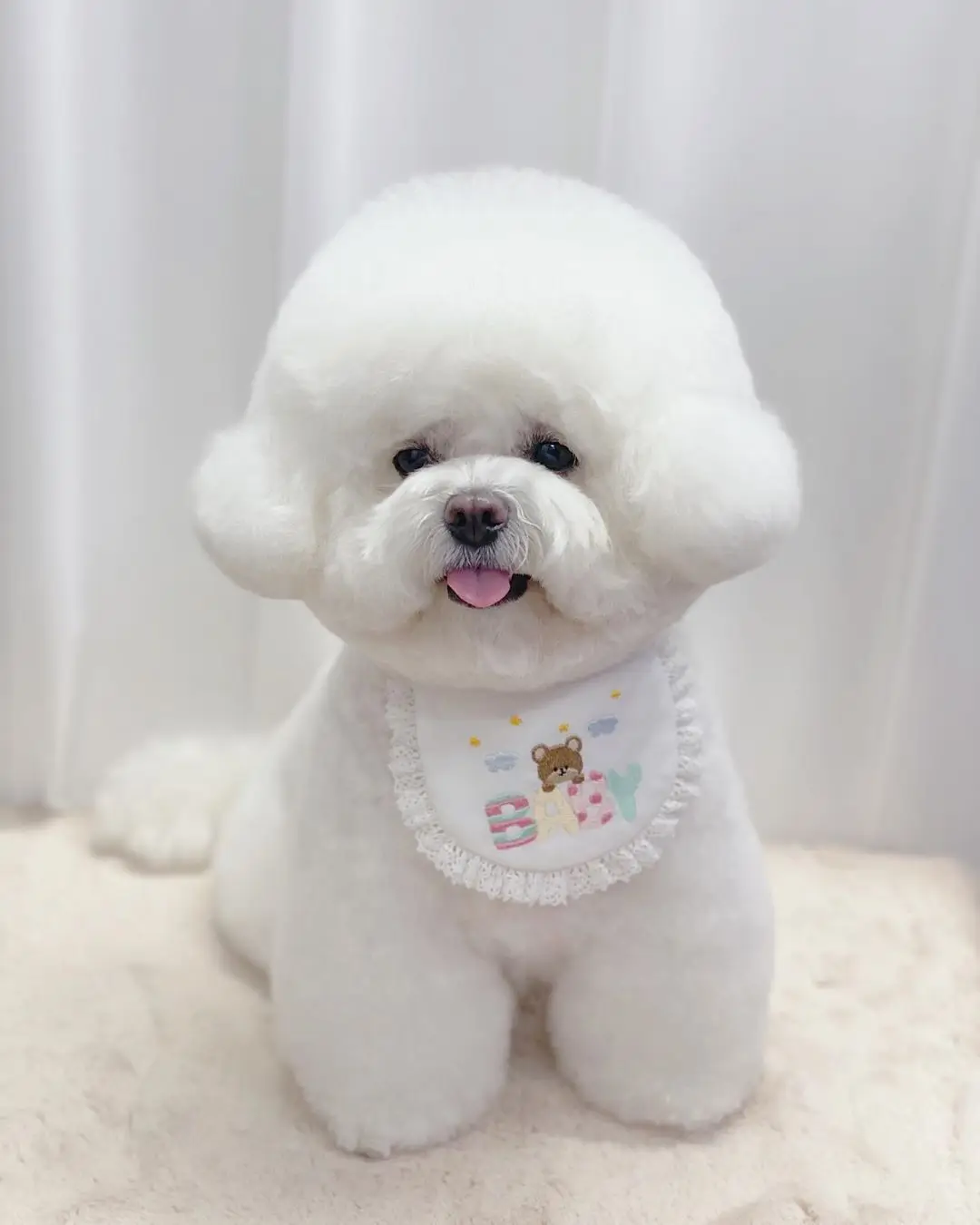 Cute Baby Bear Embroidery Dog Bib Pet Bib Saliva Towel Bichon Teddy Hiromi Bib Cat Triangle Scarf Cat Scarf Cat Saliva Towel