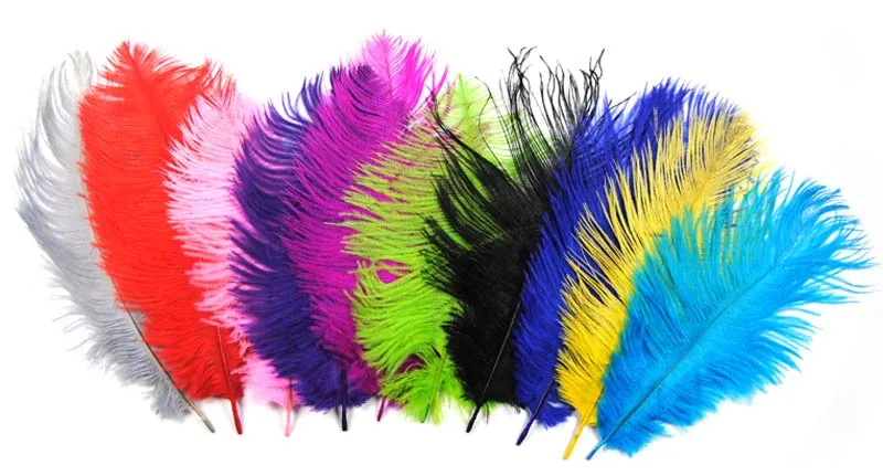 ICERIO 10PCS Multiple Colors Ostrich Feather Fly Tying Material Making Streamer Bugs Salmon Nymph Fishing Bait