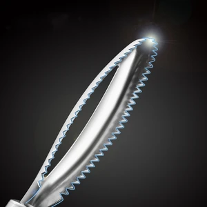 En çok satılan 12, descamador balığı-no. 10