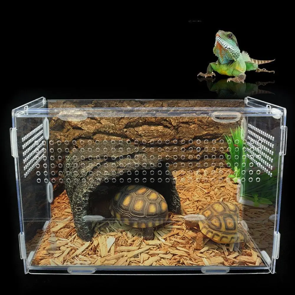 

Reptile Transparent Case 16.5x16x17cm Pet Breeding Supplies Flat Terrarium Living Habitat For Insect Feeding Box Acrylic Durable