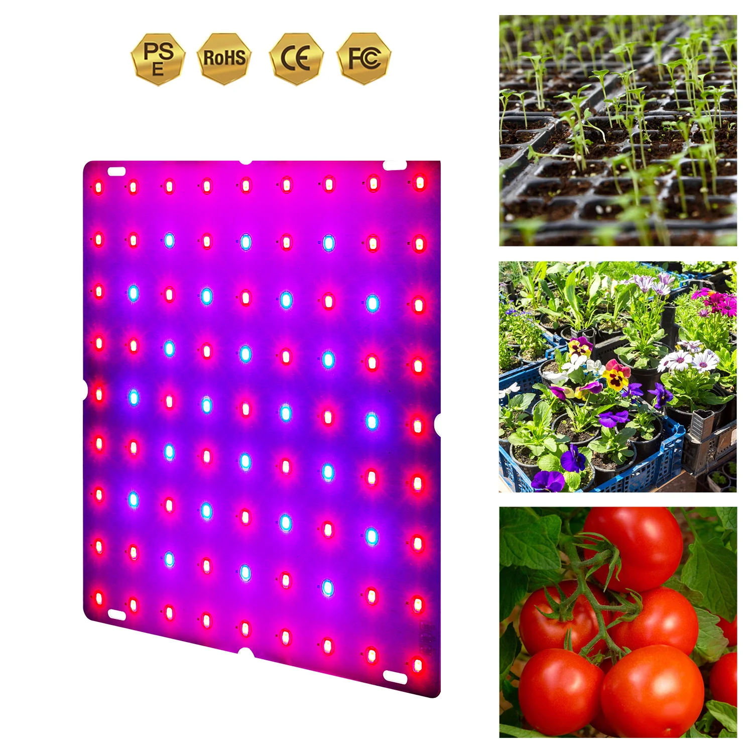 LED Grow Light Full Spectrum Lâmpada Phyto Bulb Grow Plant Grow Lâmpada 1000W 1200W Hidropônico Luz Sementes De Flores Barraca 85-265V