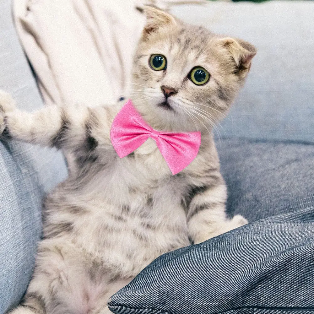 1 pz vari colori regolabile cane gatto a strisce fiocco collana per animali domestici Bowknot cravatta cane da compagnia collare per gatto accessori per toelettatura cani gatto