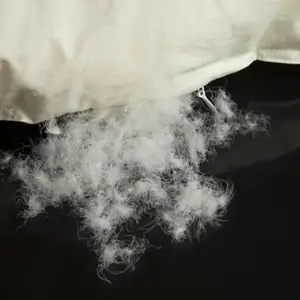 Vescove warm winter quilts duvet insert blanket filler 220*240 heavy goose down comfort King King Queen twin size 10 Main Sales Edredom Couple - №10