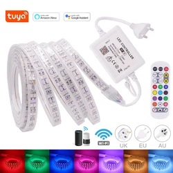 Tuya WIFI RGB LED Strip 220V 110V Waterproof IP67 Outdoor Decoration 60 120 Leds/M SMD 5050 Flexible Ribbon Rope