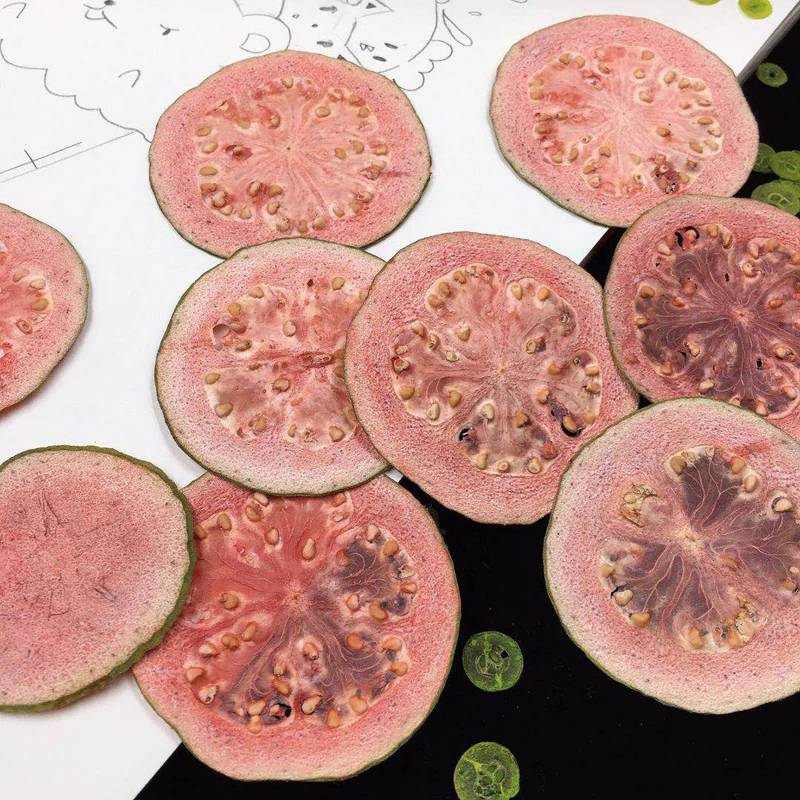 5pcs Dried Pressed 5-7cm Psidium guajava Slices Plant Herbarium For Jewelry Photo Frame Phone Case Bookmark Postcard DIY