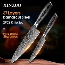 XINZUO 2PCS Pro Kitchen Knife Sets Damascus Steel Japan Style Kitchen Knives VG10 Chef Utility Knives Pakkawood Handle BBQ Tool