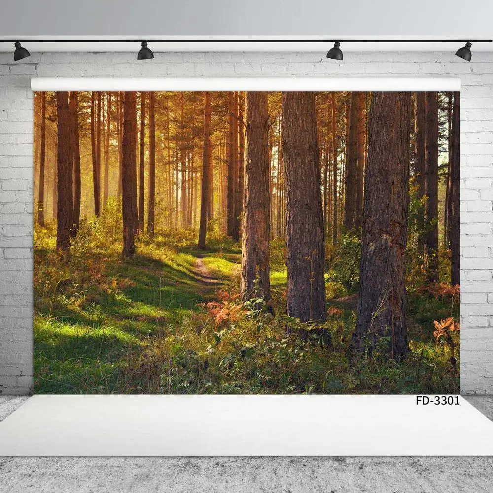 Autumn Forest Jungl…