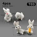 4 piezas Rabbit-T03