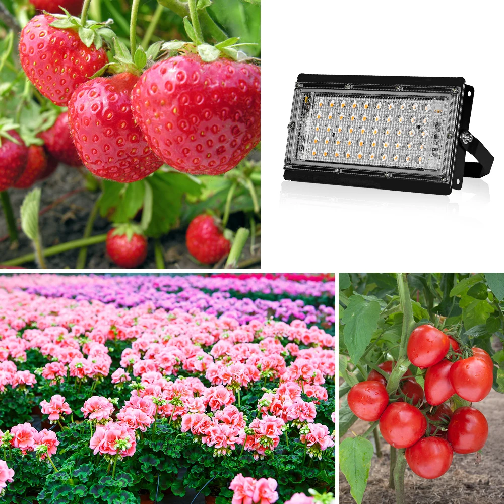 50W 100W 200W LED 성장 빛 220V Phyto 램프 방수 Phytolamp 전체 스펙트럼 식물 빛 Phytolamp 홈 식물에 대 한 Growbox