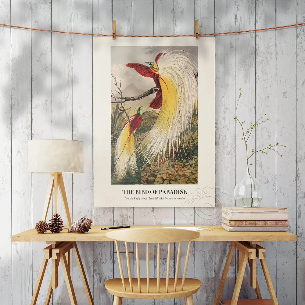 Benjamin Fawcett Poster Bird Of Paradise Vintage Prints Animal Illustration Wall Art Canvas Painting Picture Living Room Decor