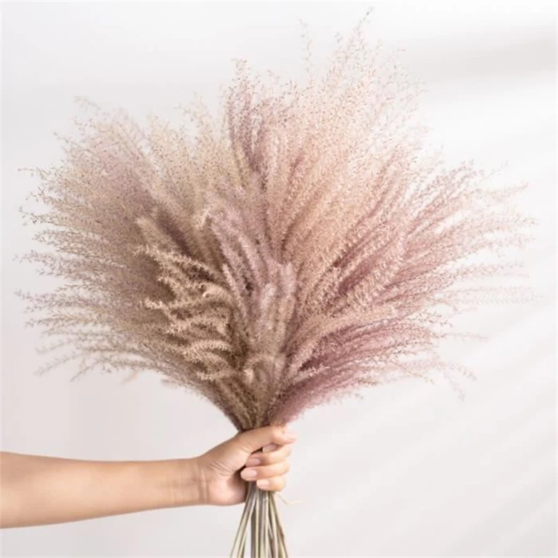 Pampa Decoration Communis Phragmites Pampas Grass Large Bouquet Sechees Bulrush Wedding Arrangement Dekoration Reeds Flower Home