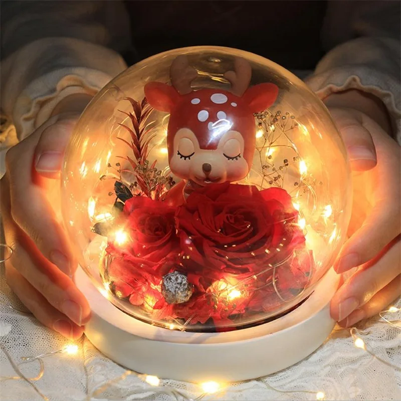 

Natural Preserved Flower Rose Valentines Day Gift Exclusive Rose In Glass Dome With Lights Eternal Real Rose Mother's Day Gift