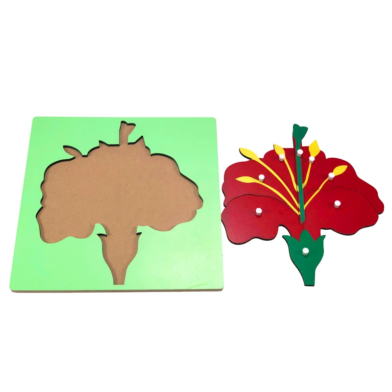 Baby Toys Montessori Materials Botany Zoology Puzzles Plastic Pegged Grab Wood Board Panel Early Educational Preschool Training